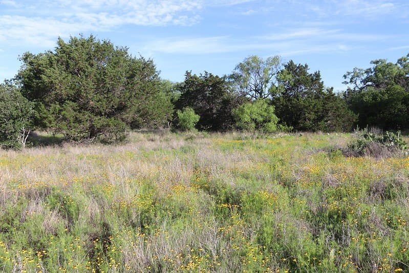 5.07 acres in Burnet County - photo 13