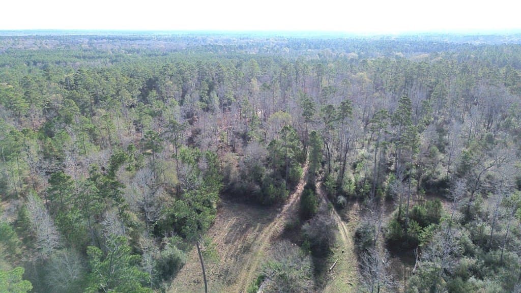 62.92 acres in Texas County featured view