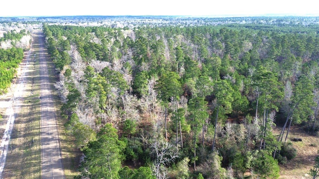 62.92 acres in Texas County gallery image 2