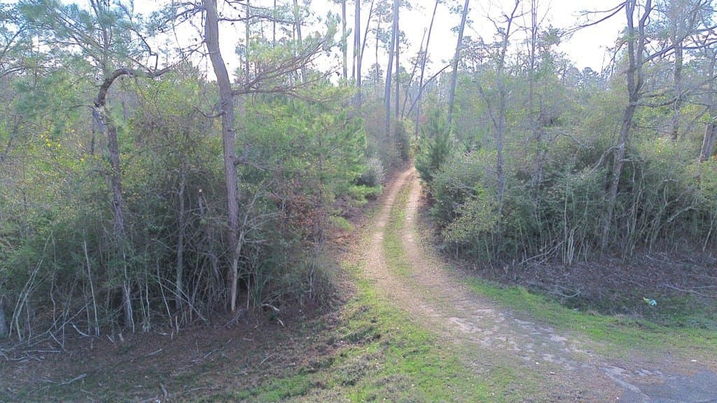 62.92 acres in Texas County gallery image 4