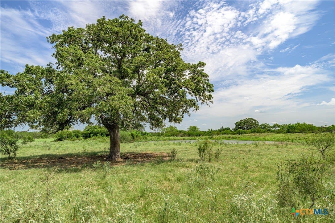 127.37 acres in Fayette County featured view
