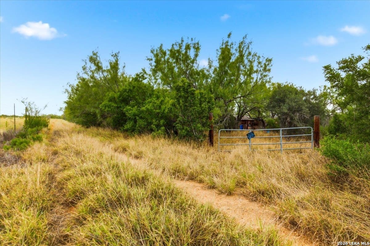 15 acres in Frio County - photo 23