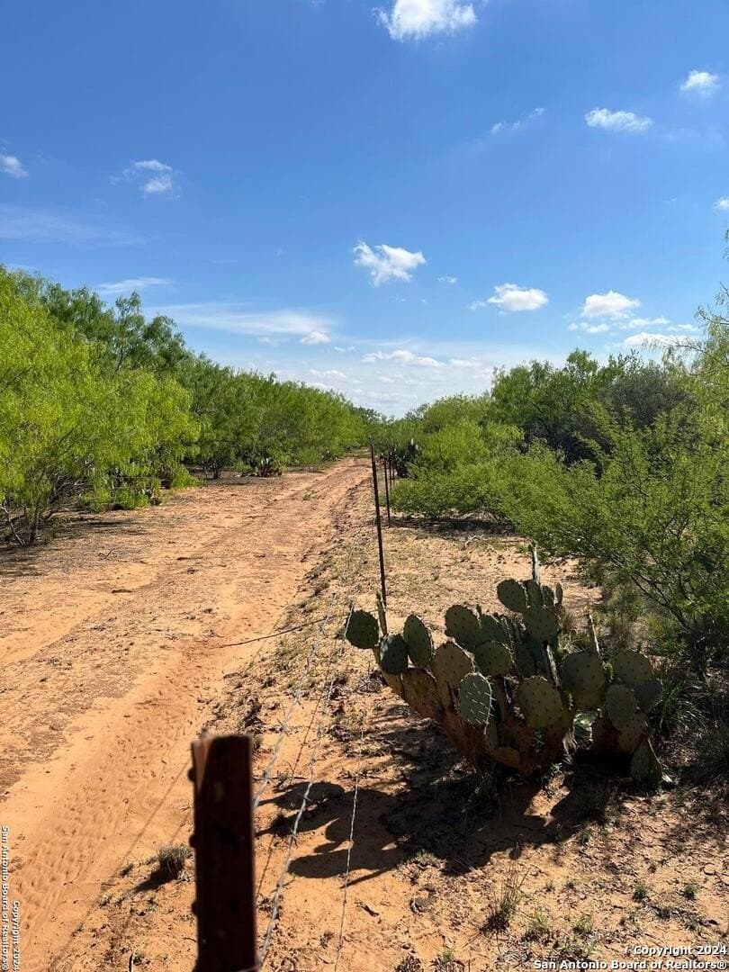 15 acres in Frio County - photo 14