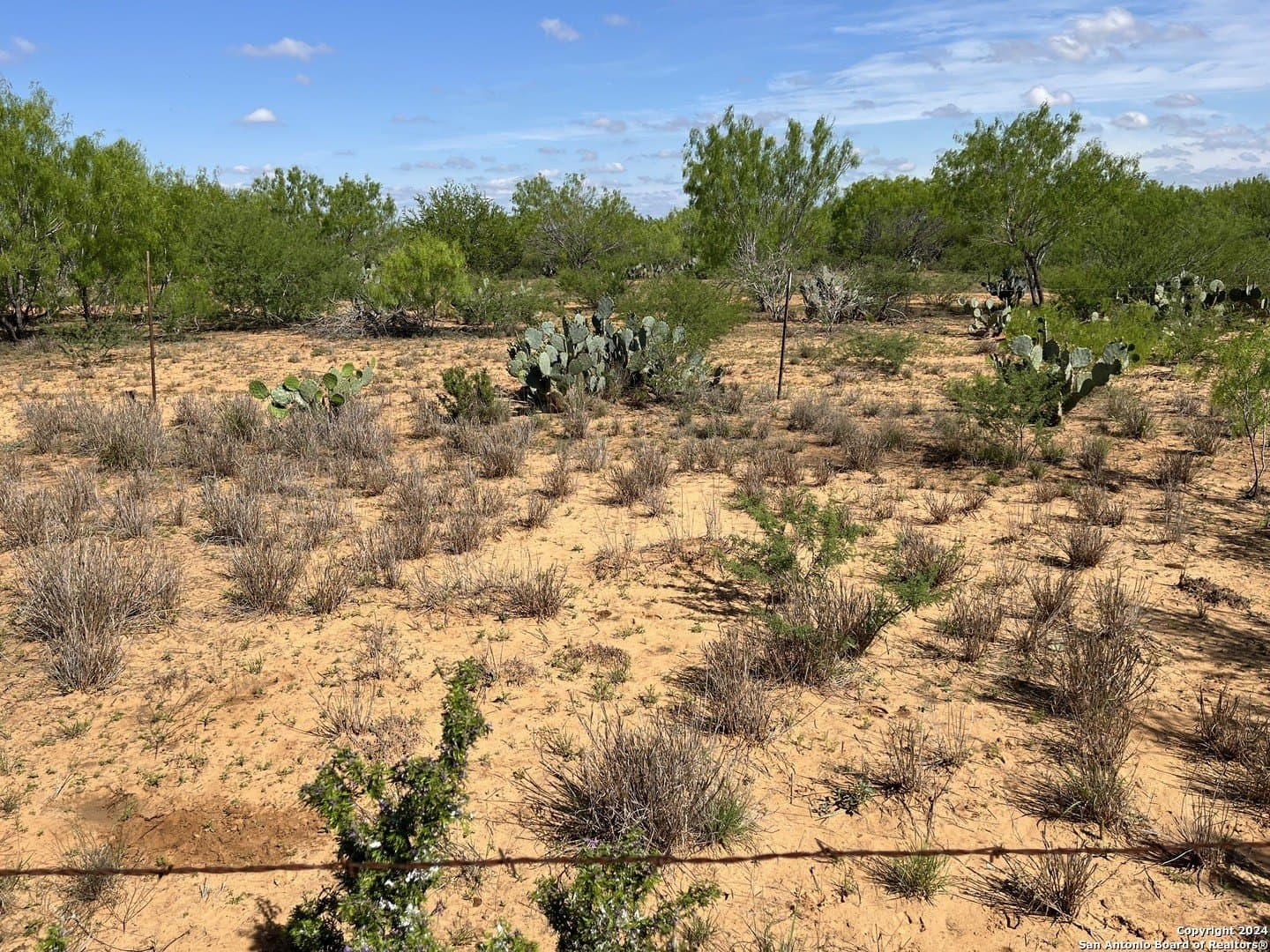 15 acres in Frio County - photo 13