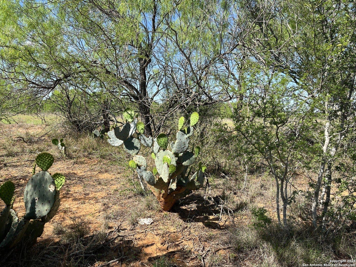 15 acres in Frio County featured view