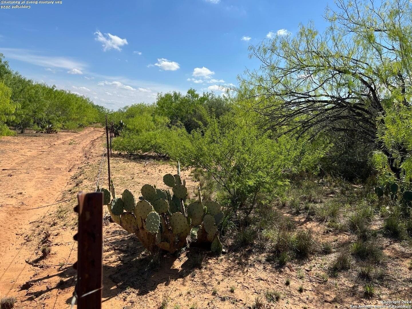 15 acres in Frio County - photo 15