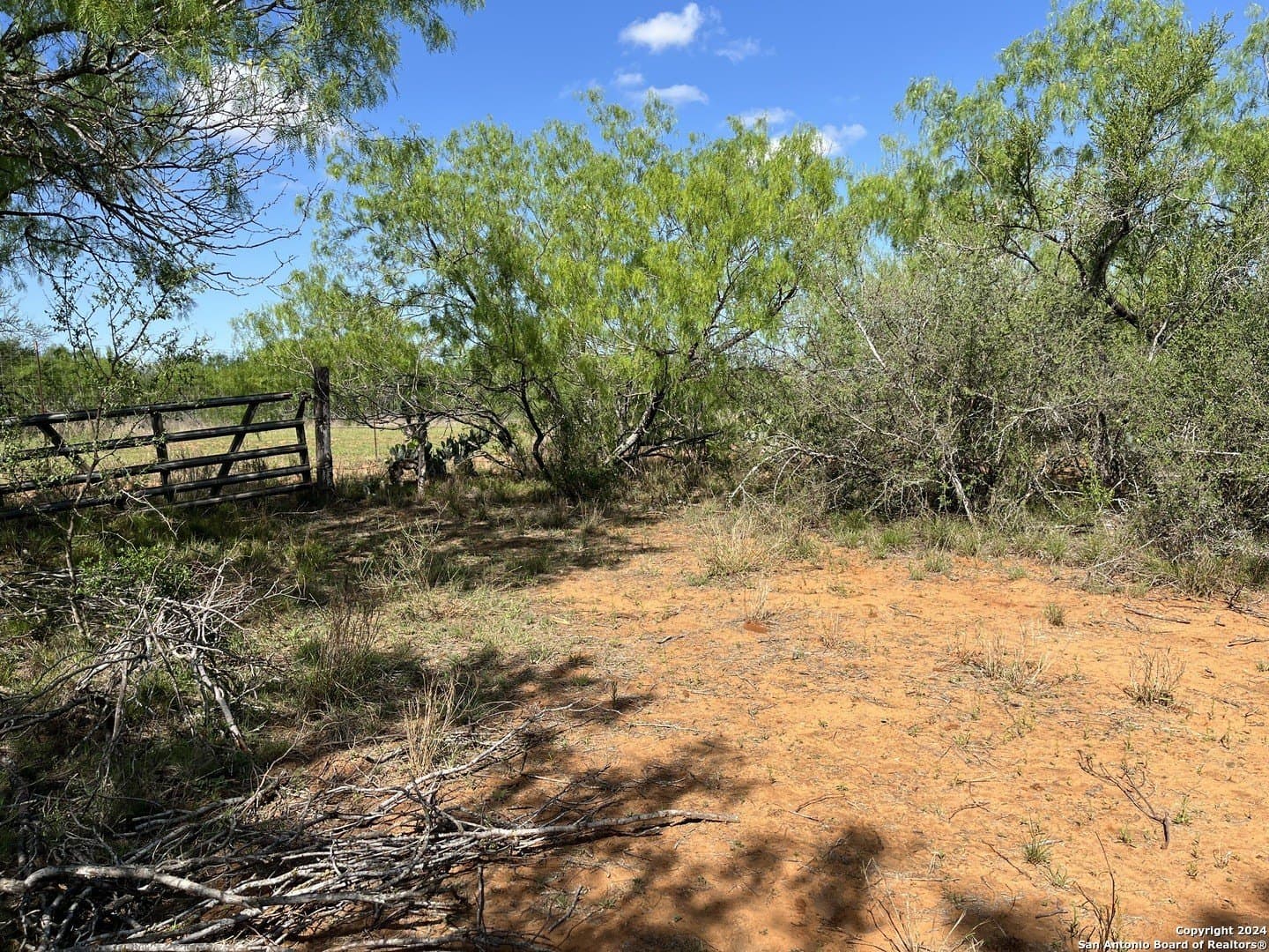 15 acres in Frio County