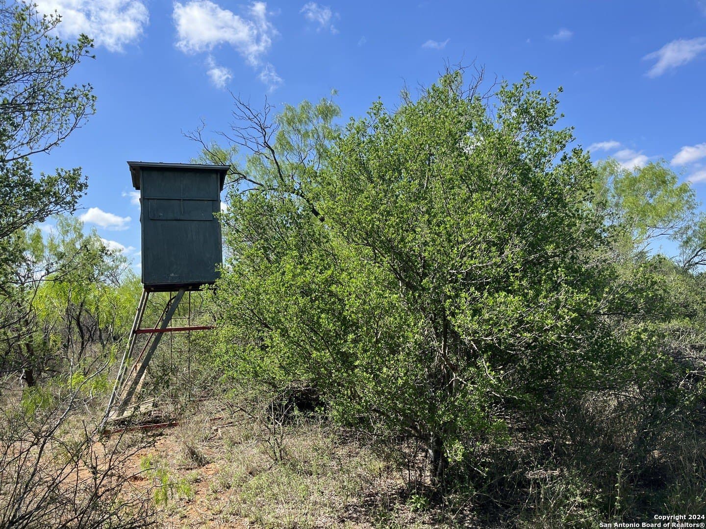 15 acres in Frio County - photo 18