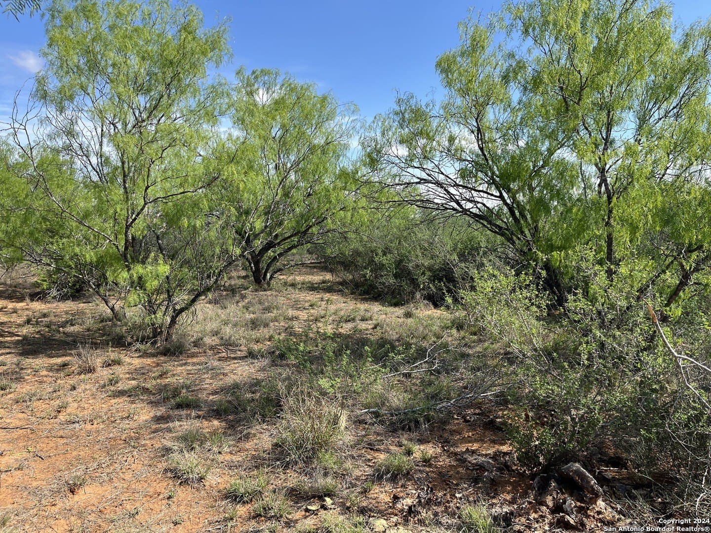 15 acres in Frio County gallery image 4