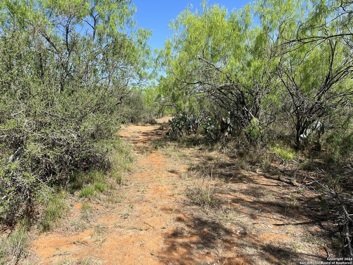 15 acres in Frio County gallery image 2