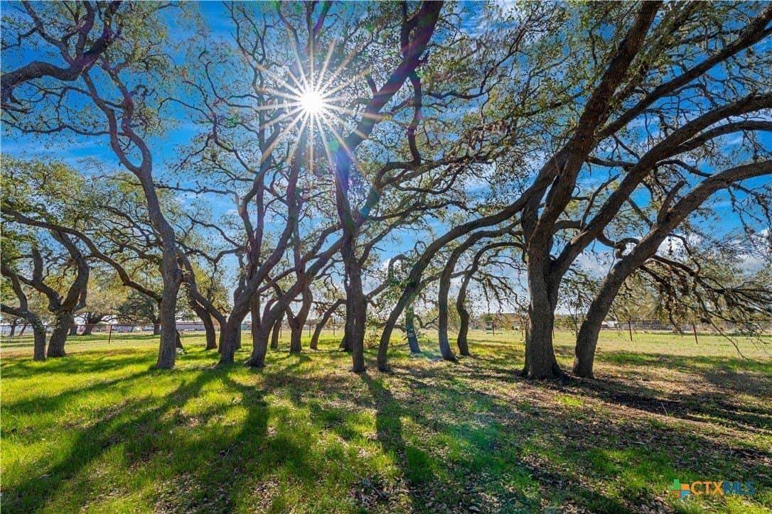 20 acres in Comal County - photo 37