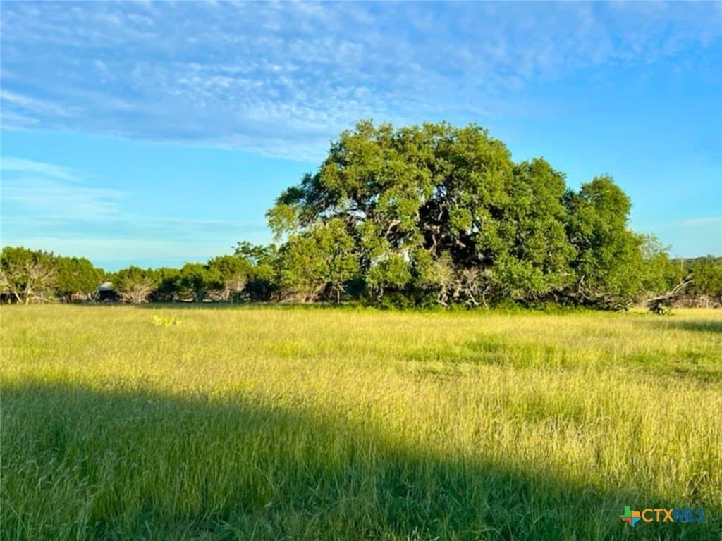 20 acres in Comal County - photo 14