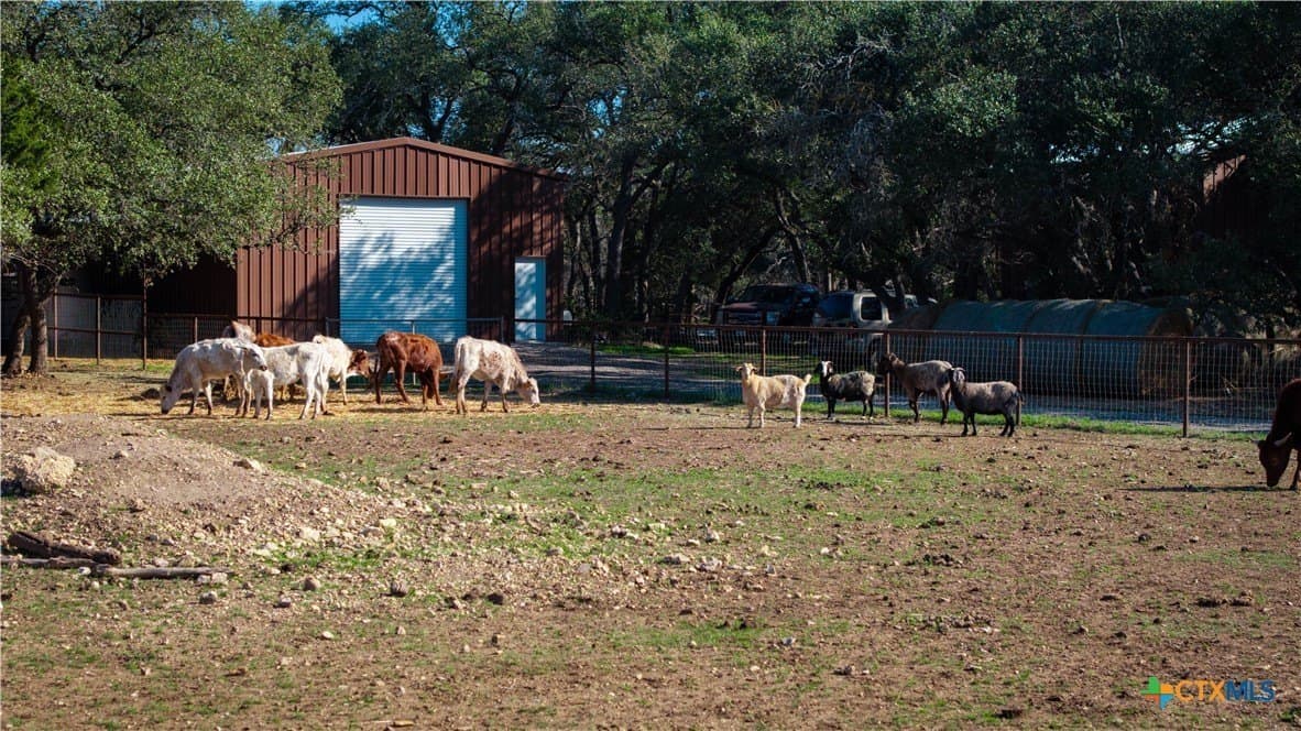 20 acres in Comal County - photo 26