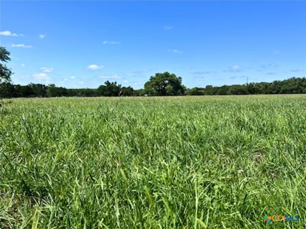 20 acres in Comal County - photo 15