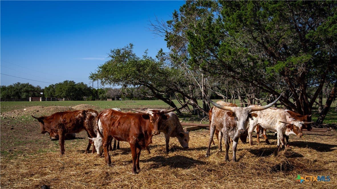 20 acres in Comal County - photo 28