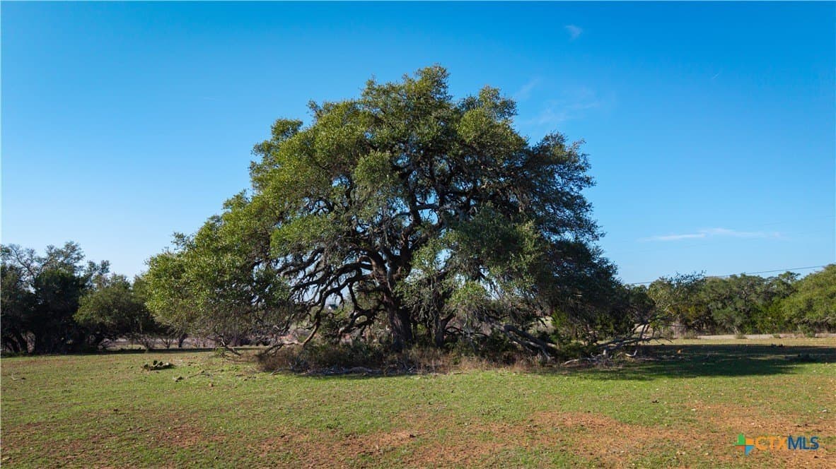 20 acres in Comal County - photo 23