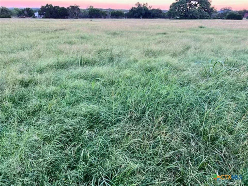 20 acres in Comal County - photo 47