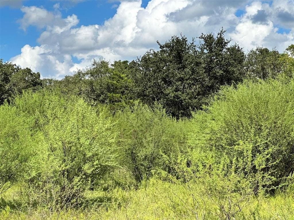 22 acres in Lavaca County gallery image 3