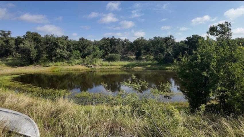 101.5 acres in San Saba County - photo 17