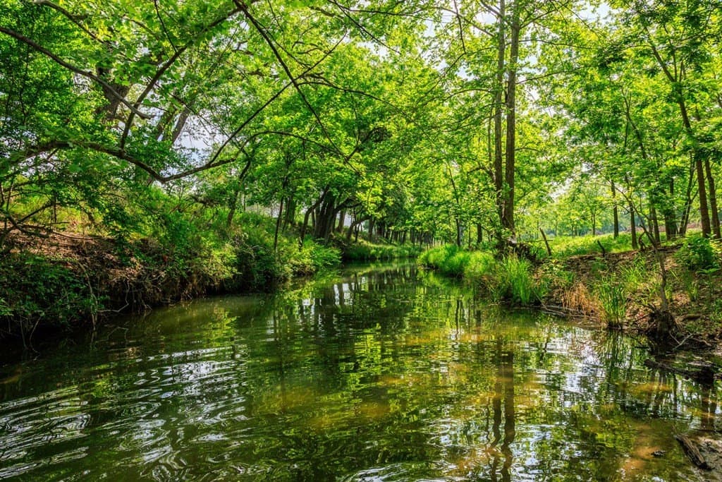 151.38 acres in Gillespie County gallery image 3