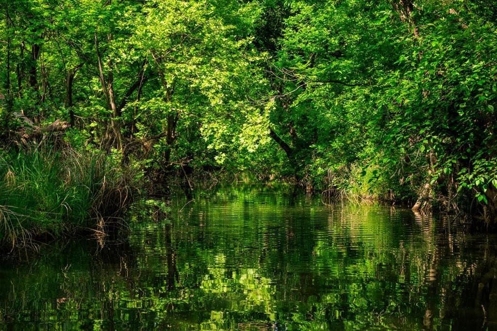 151.38 acres in Gillespie County gallery image 2