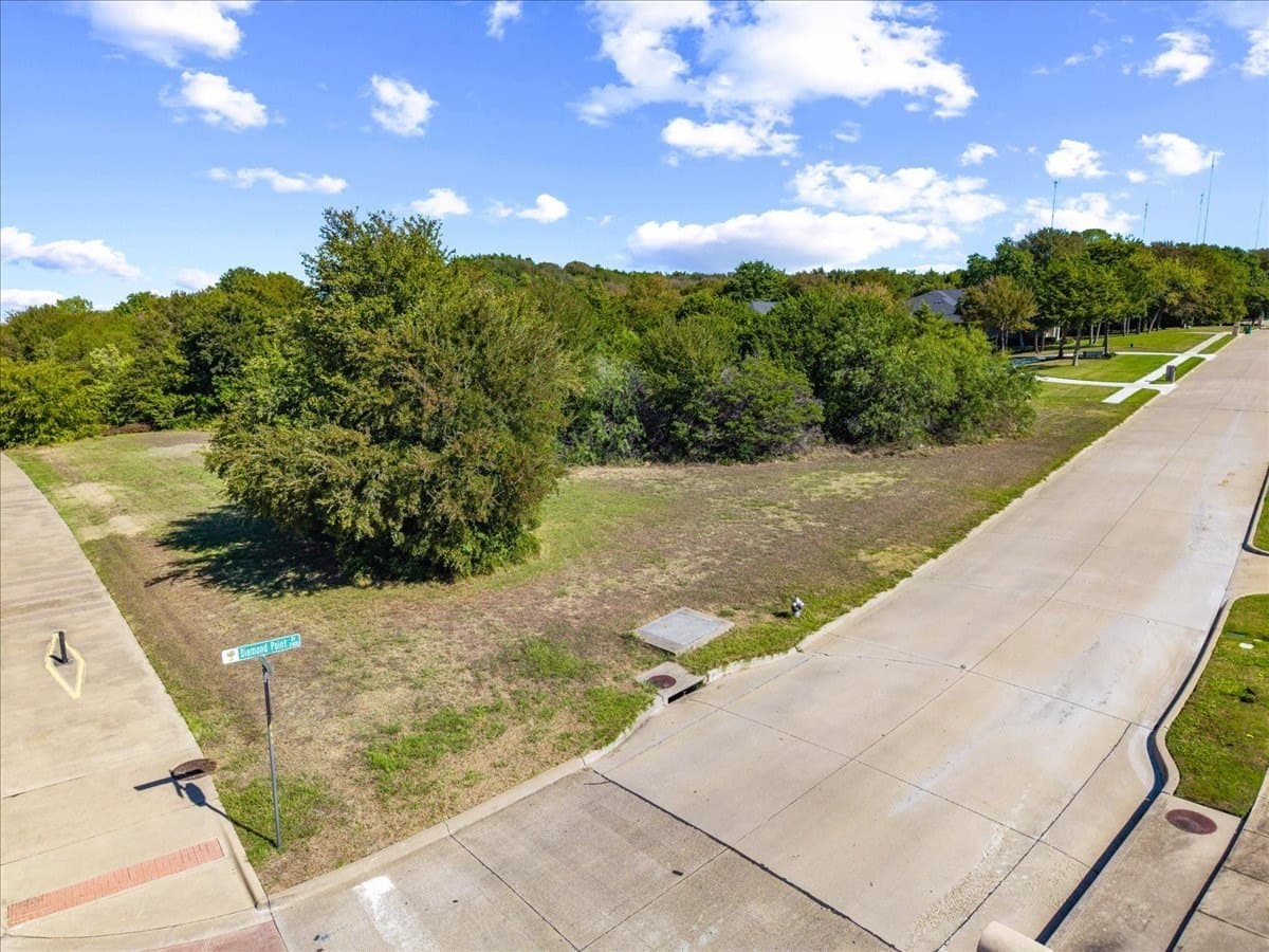 1.19 acres in Dallas County - photo 3