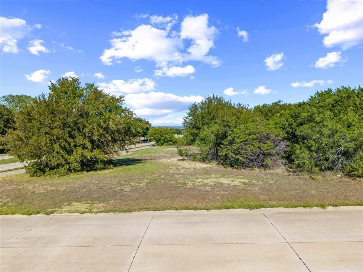 1.19 acres in Dallas County - photo 7