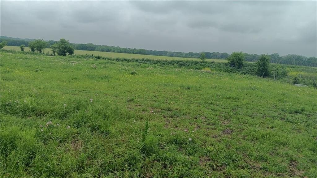 48.08 acres in Falls County