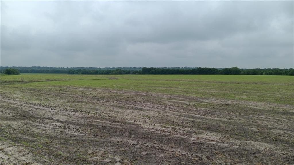 48.08 acres in Falls County gallery image 3