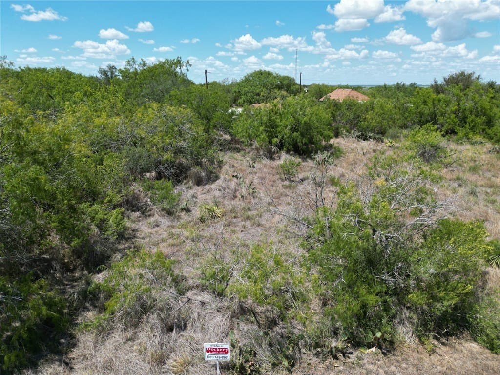 0.18 acres in Live Oak County gallery image 3