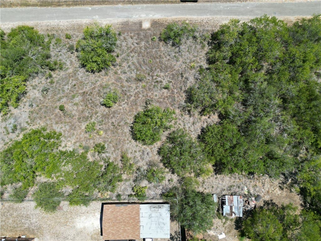 0.18 acres in Live Oak County gallery image 4