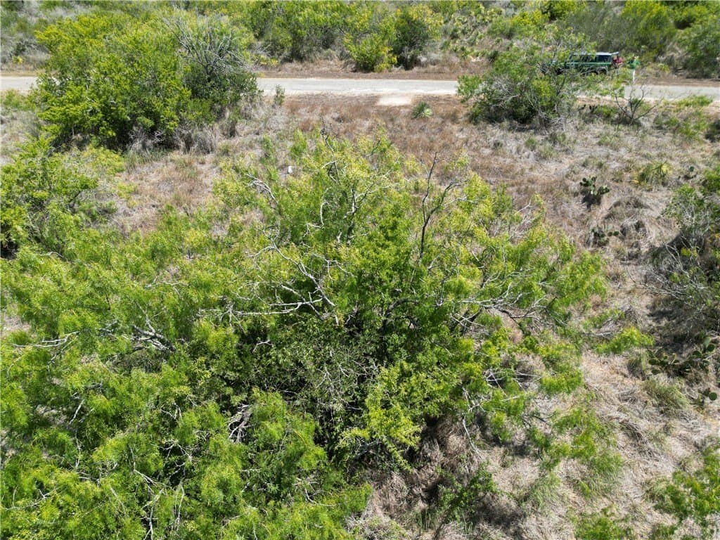 0.18 acres in Live Oak County gallery image 2