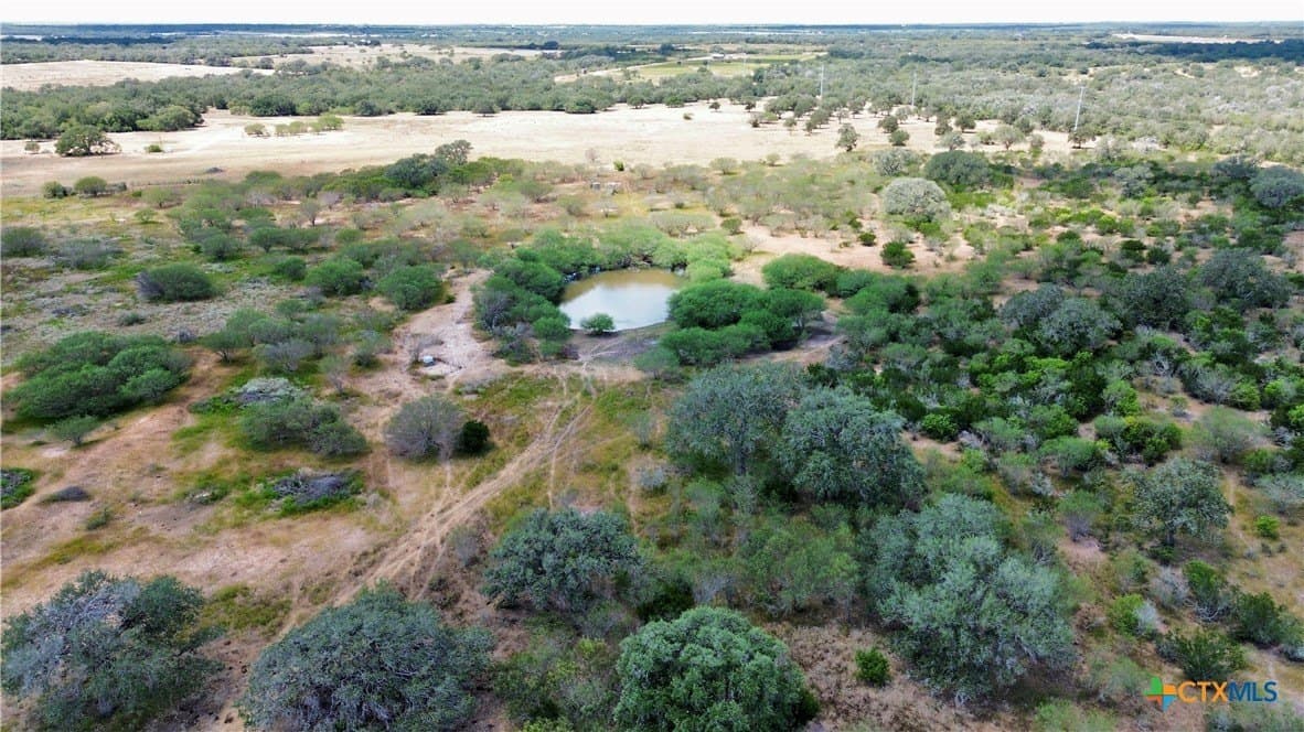 83.7 acres in Goliad County - photo 8