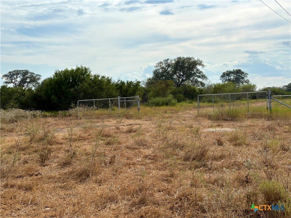 83.7 acres in Goliad County - photo 13