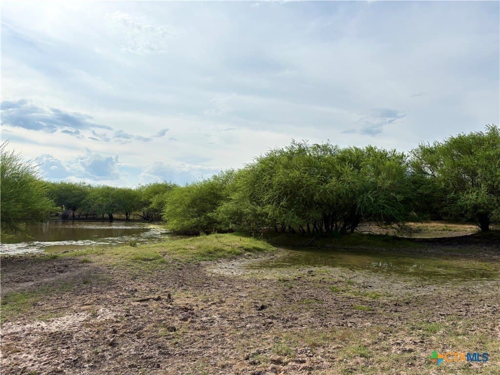 83.7 acres in Goliad County - photo 10