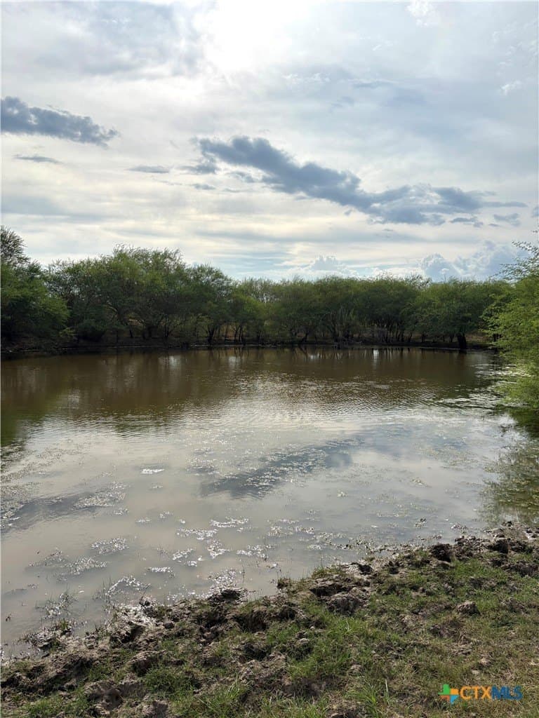 83.7 acres in Goliad County - photo 9