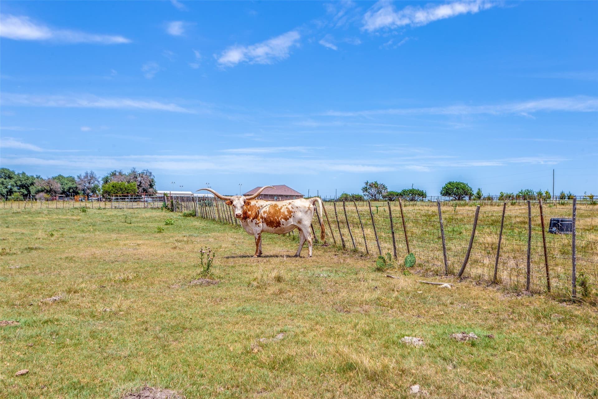 19.98 acres in Parker County - photo 3