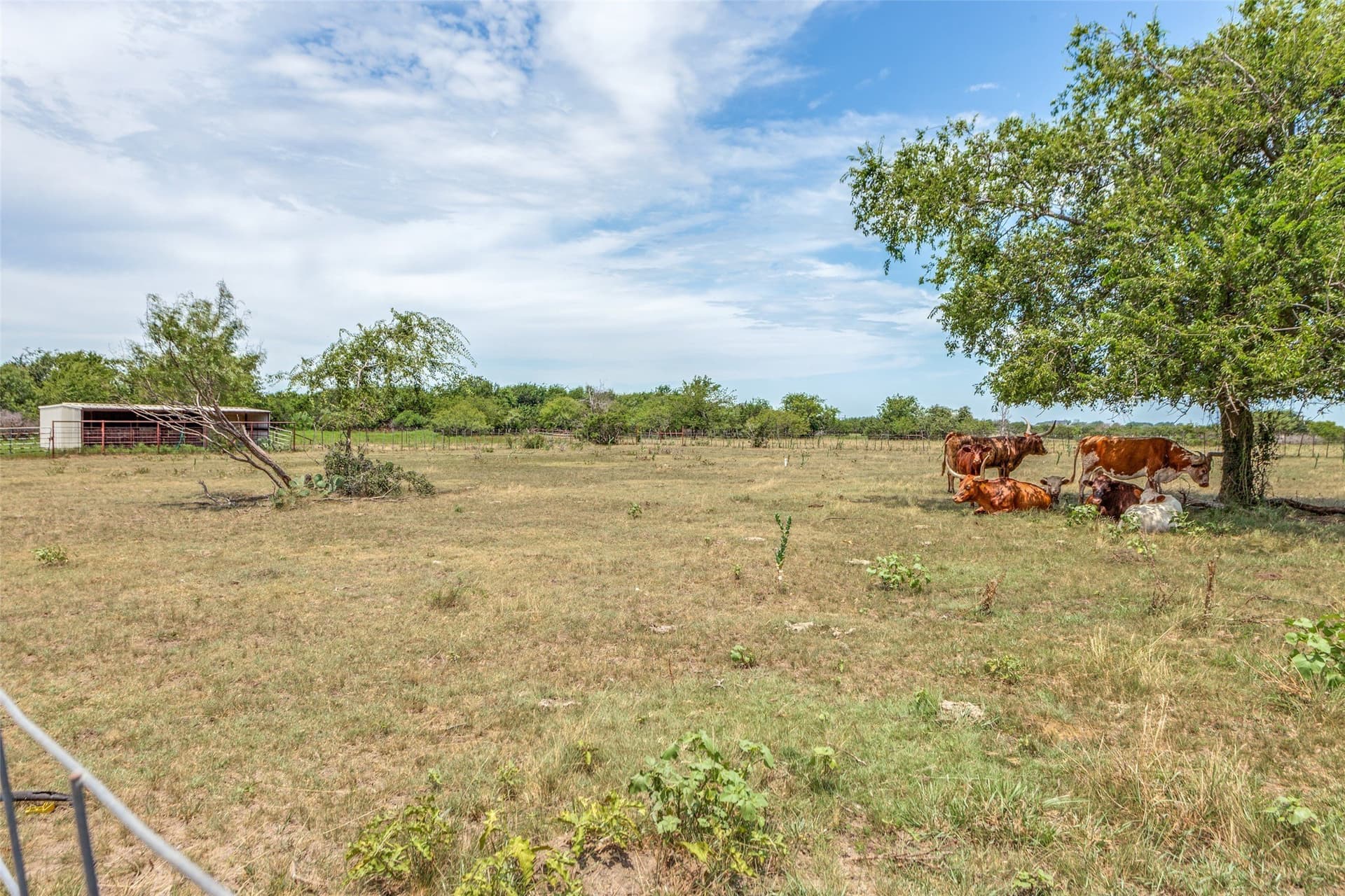 19.98 acres in Parker County - photo 36