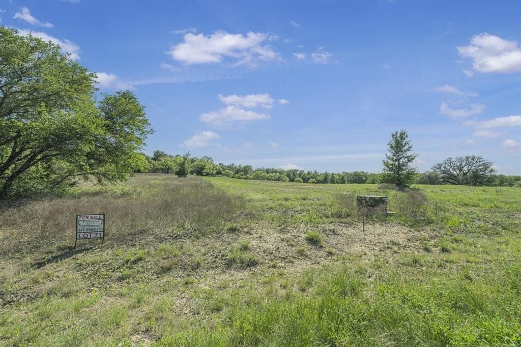 2.3 acres in Parker County gallery image 3