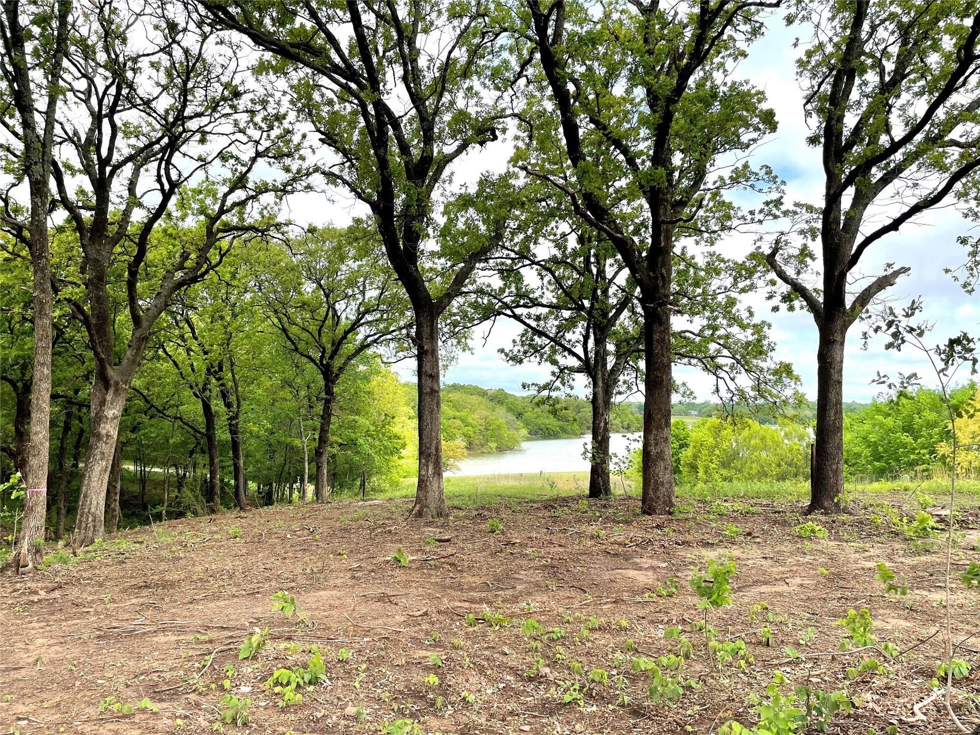 1.72 acres in Grayson County - photo 13