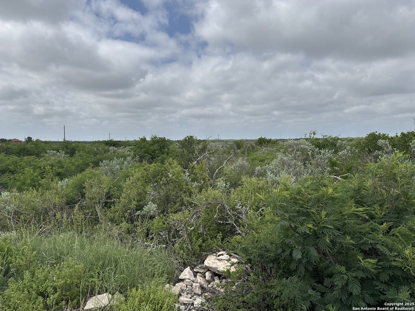 1.12 acres in Uvalde County gallery image 4