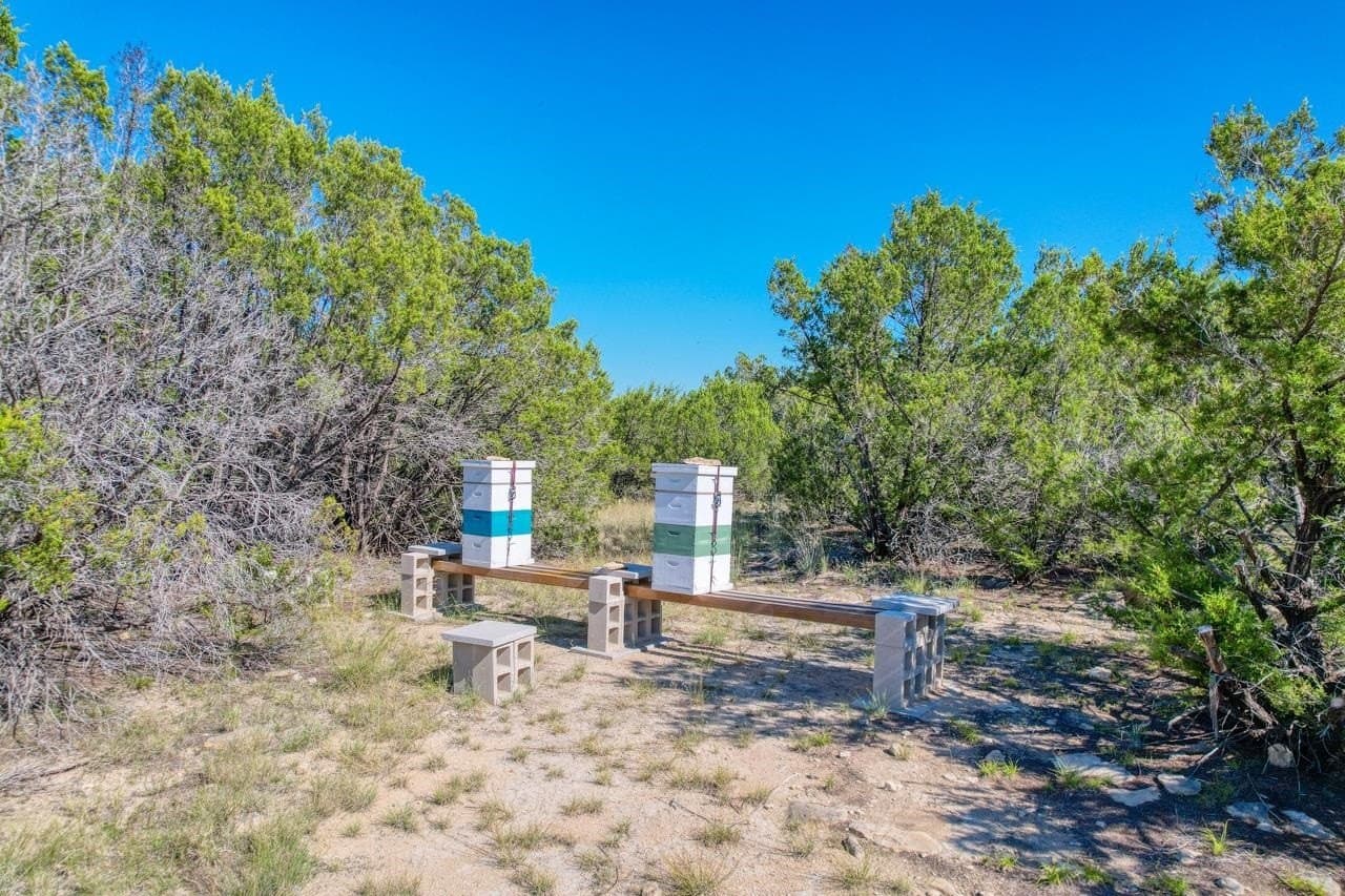 12.25 acres in Out of Area County - photo 11