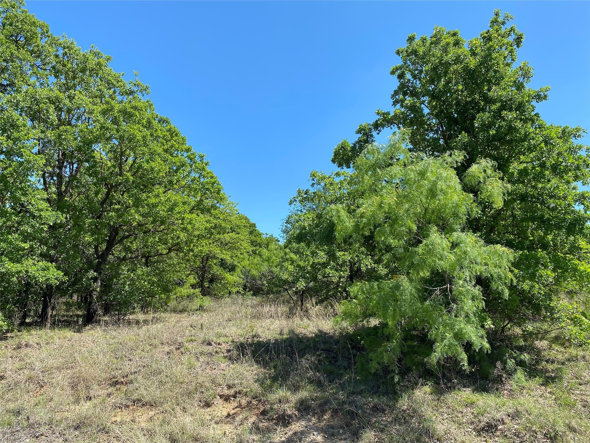 2.93 acres in Wise County - photo 9