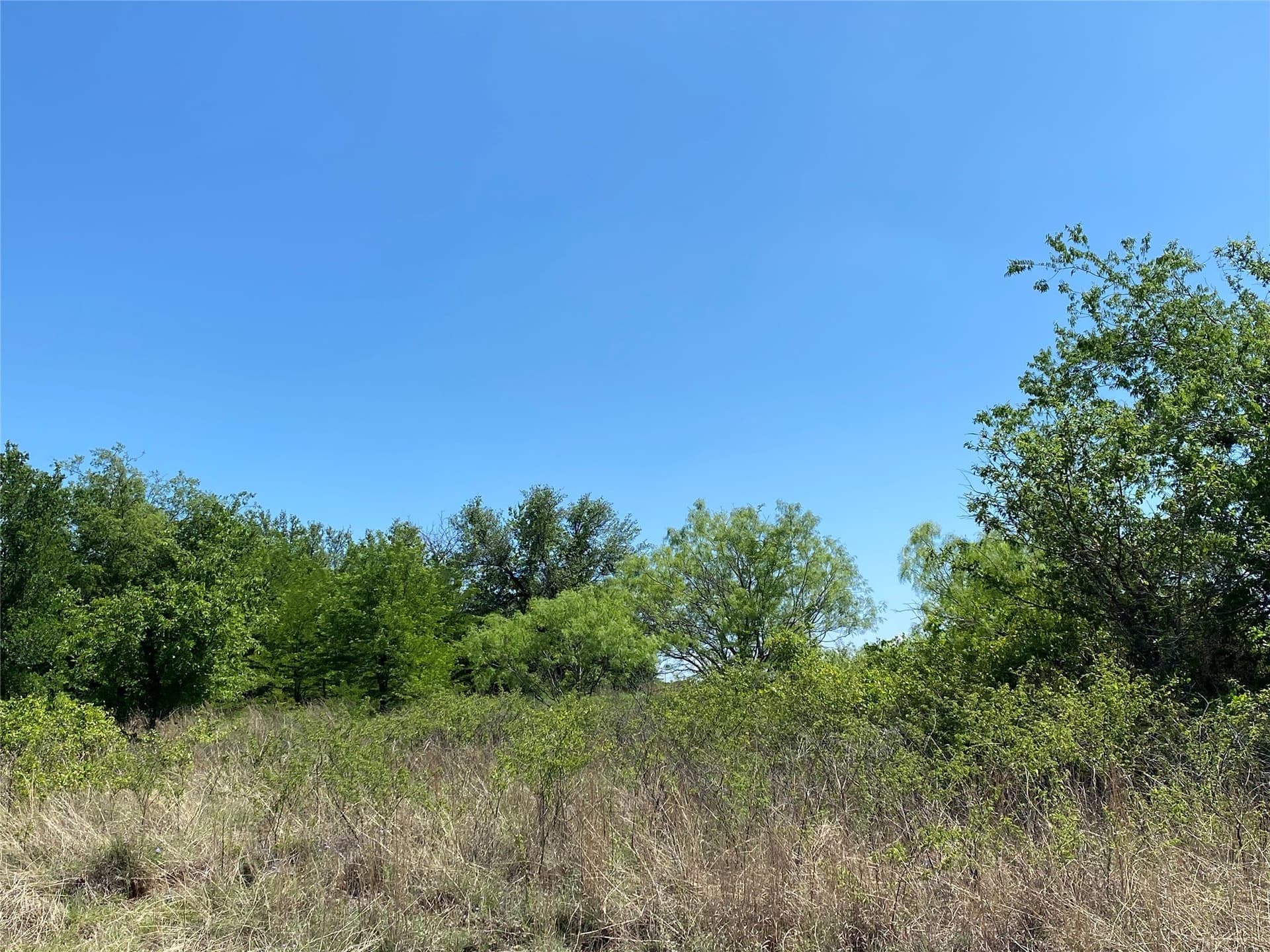 2.93 acres in Wise County - photo 7