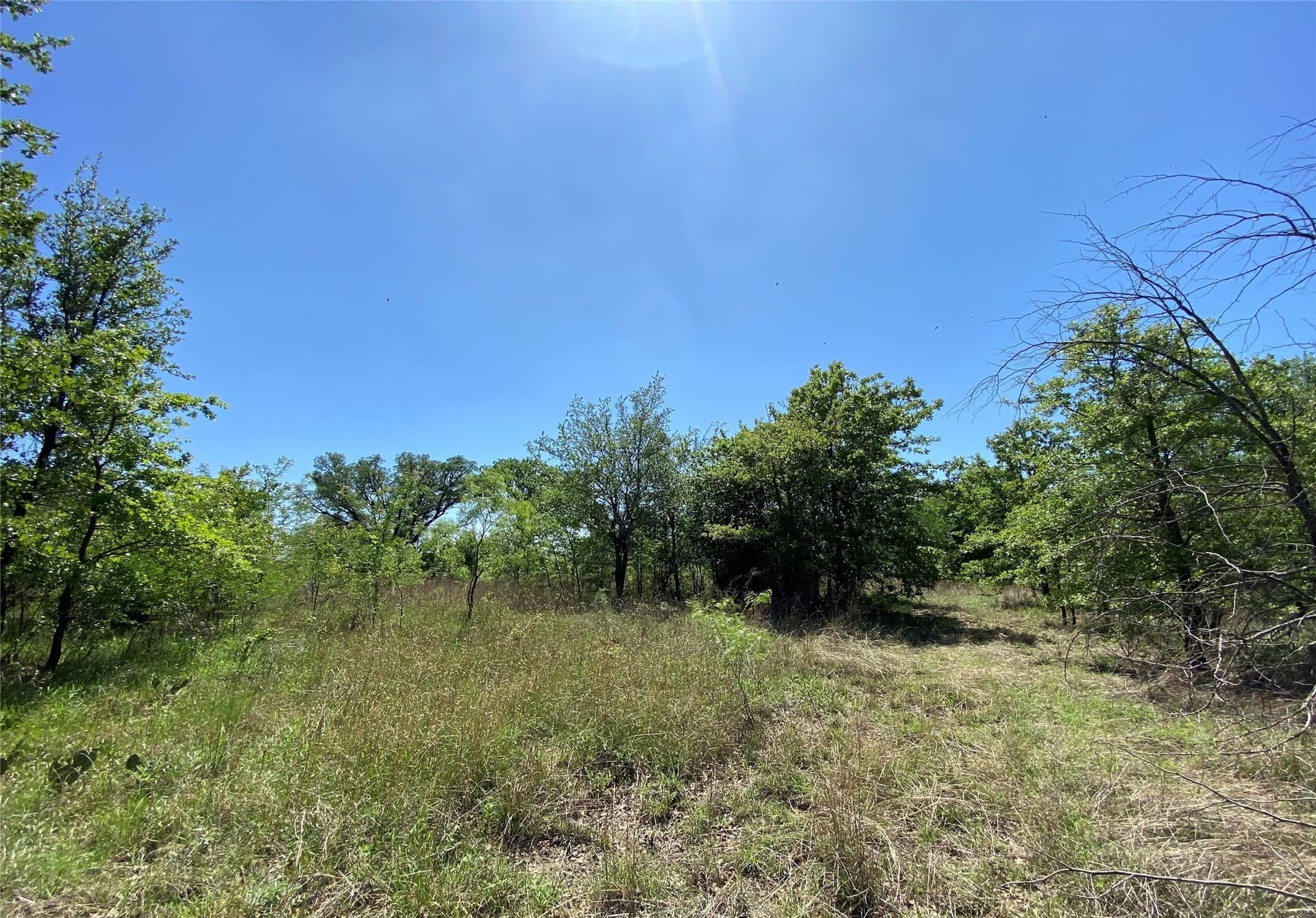 2.93 acres in Wise County - photo 4