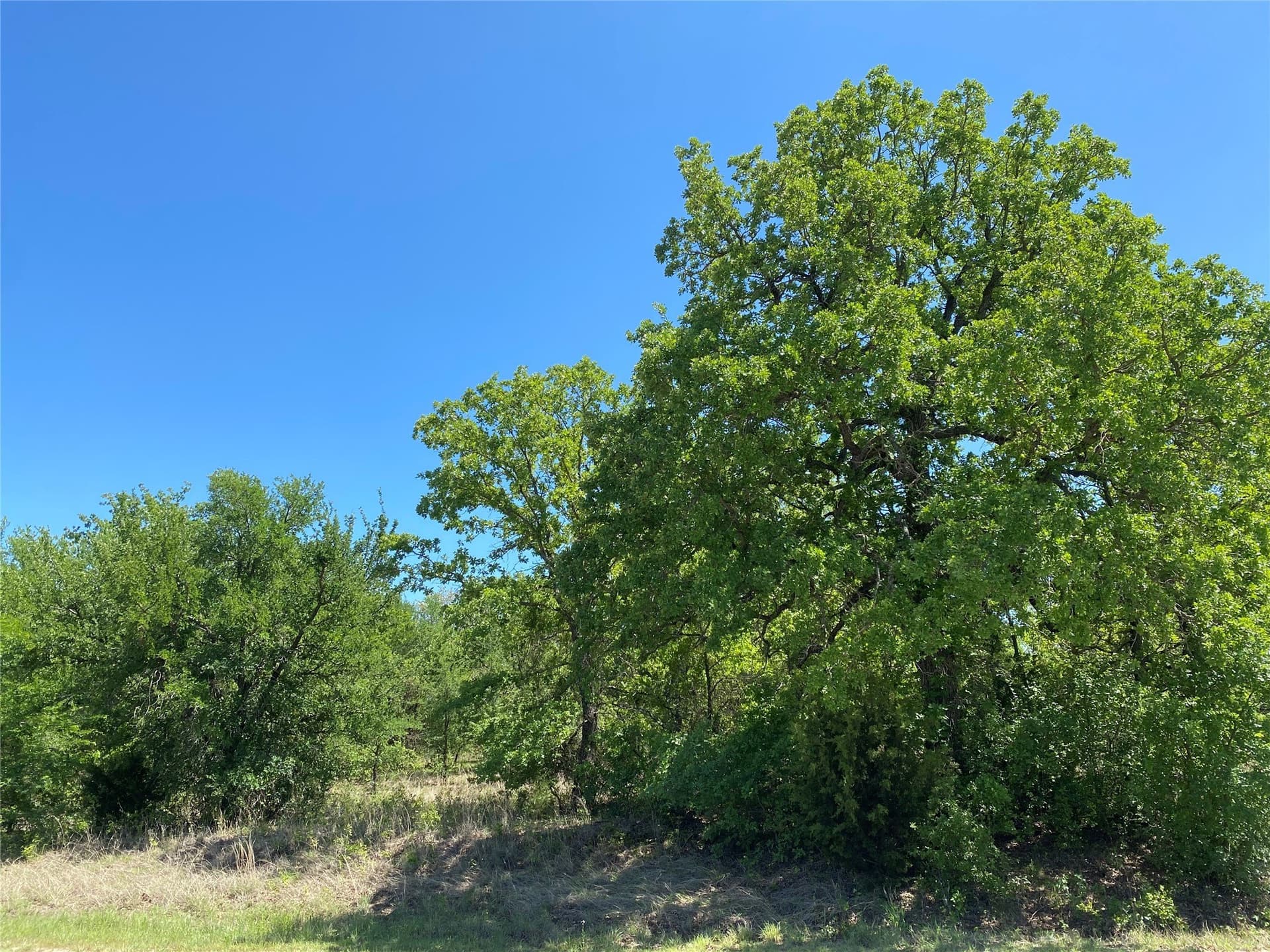 2.93 acres in Wise County - photo 8