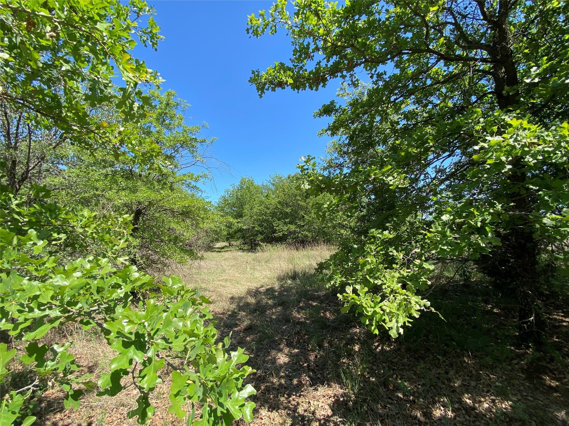 2.93 acres in Wise County - photo 6
