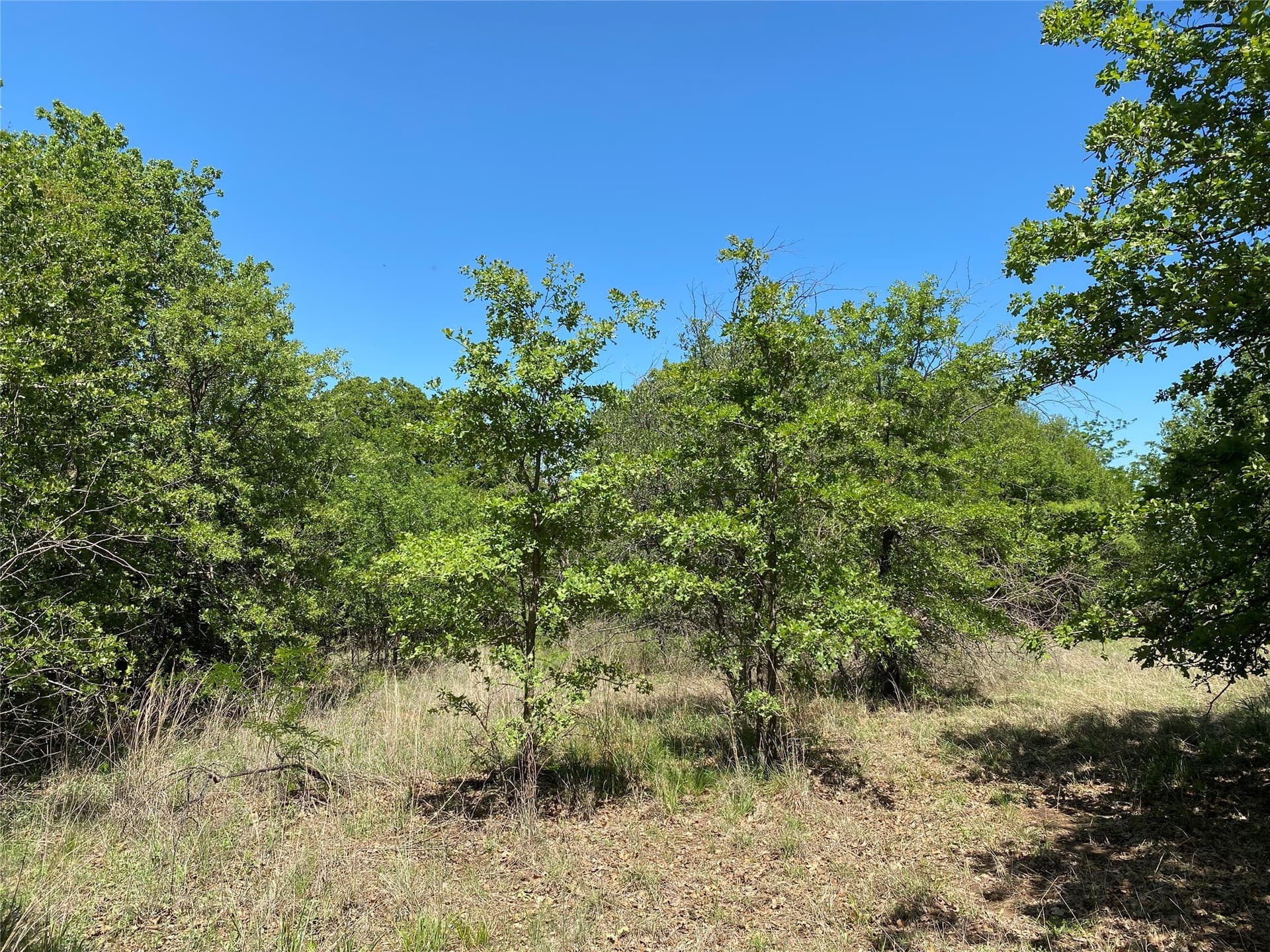 2.93 acres in Wise County - photo 14