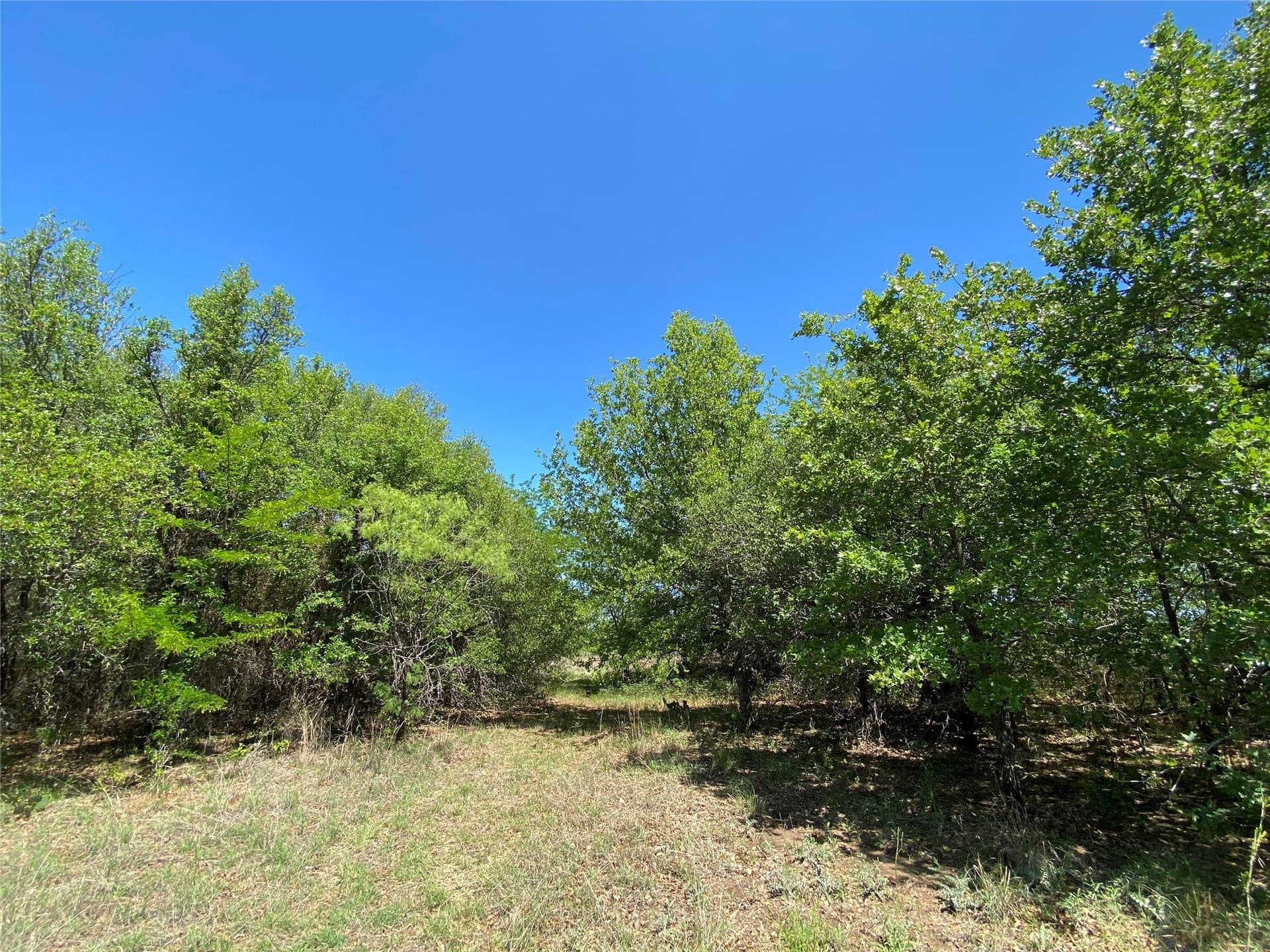 2.93 acres in Wise County - photo 2