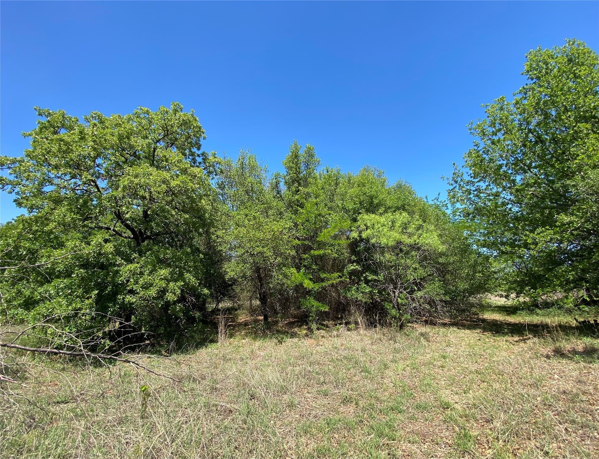 2.93 acres in Wise County - photo 3